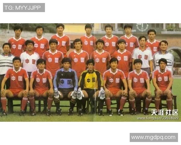 广州羽毛球队挑战赛特别报道：从传统到现代的转型之路探秘